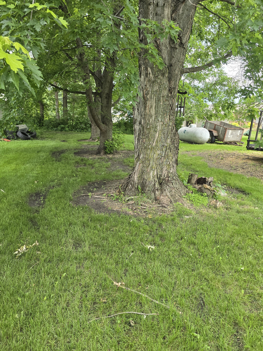 20260619_075605