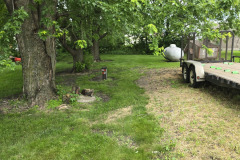 20260619_075558