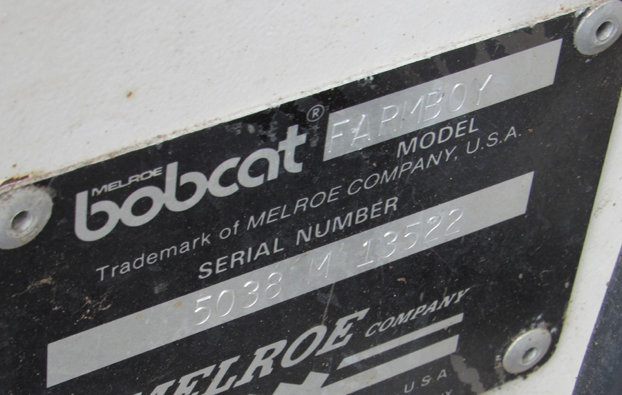 bobcat5
