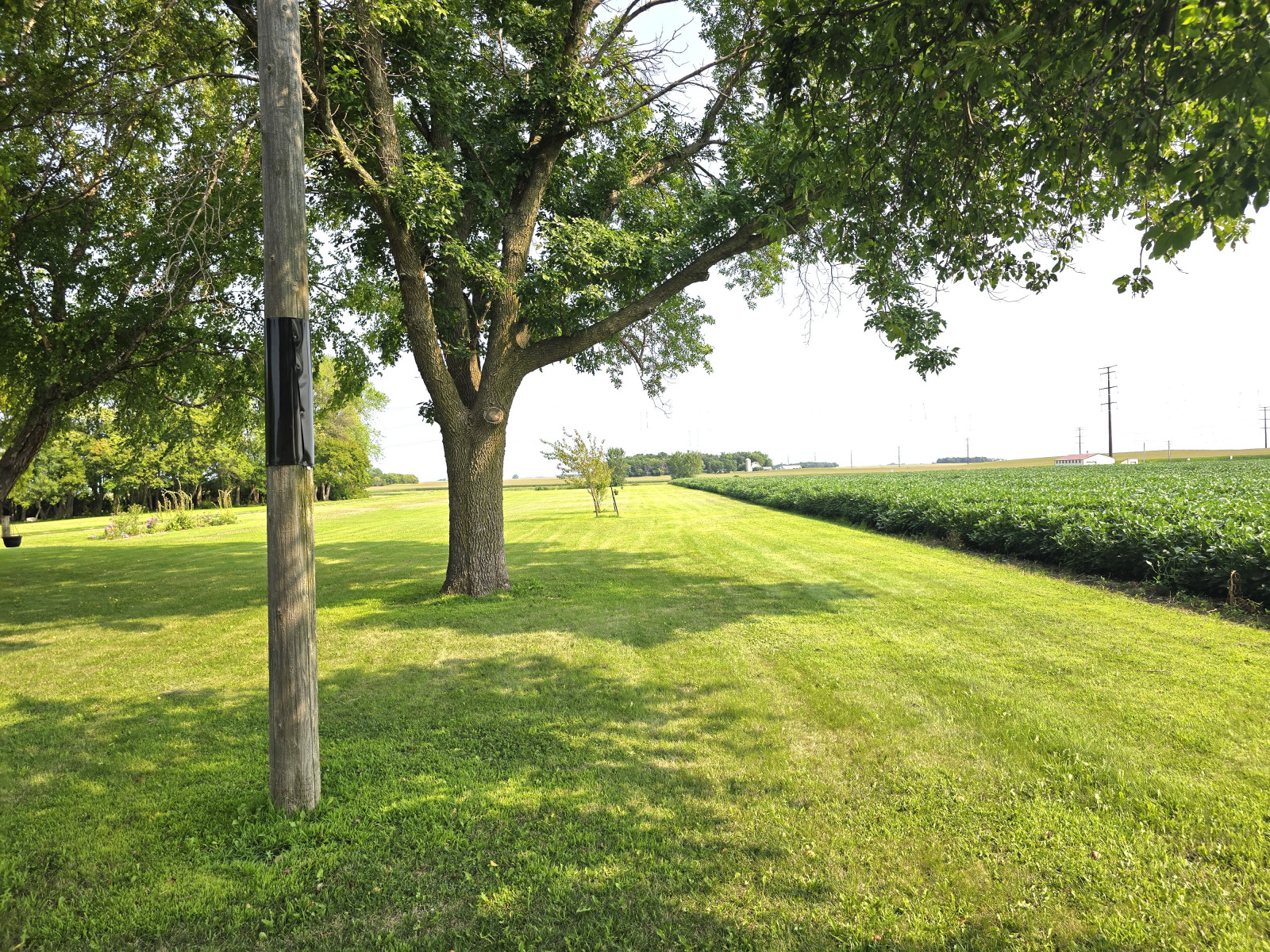 52.-Outdoors