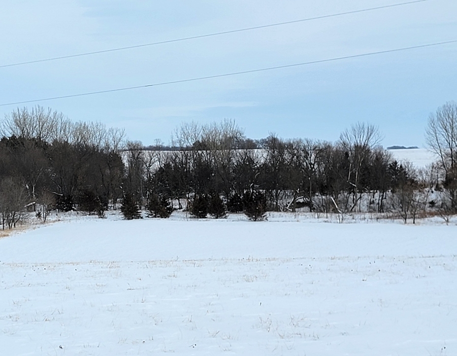 37.32 Acres, Camp Township, Renville County Mages Land Company
