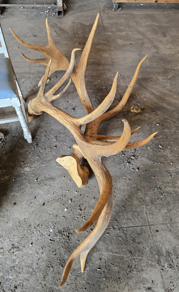 antlers