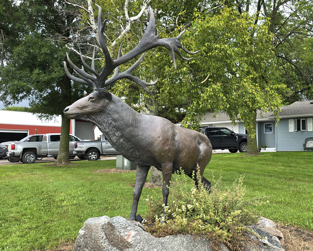 elk