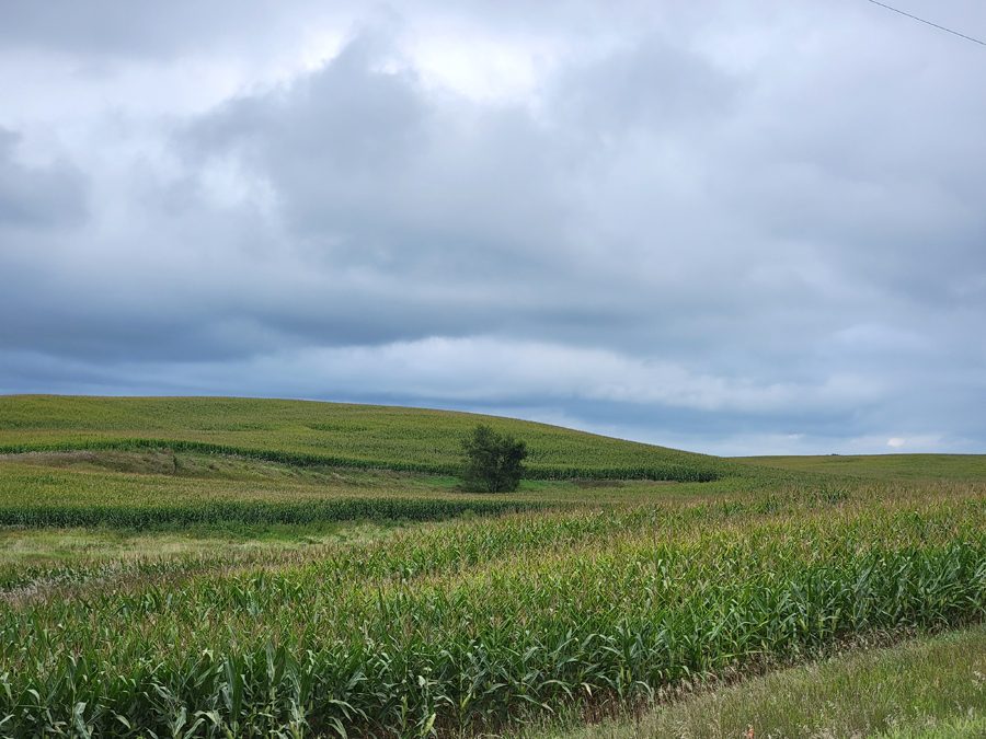 land4