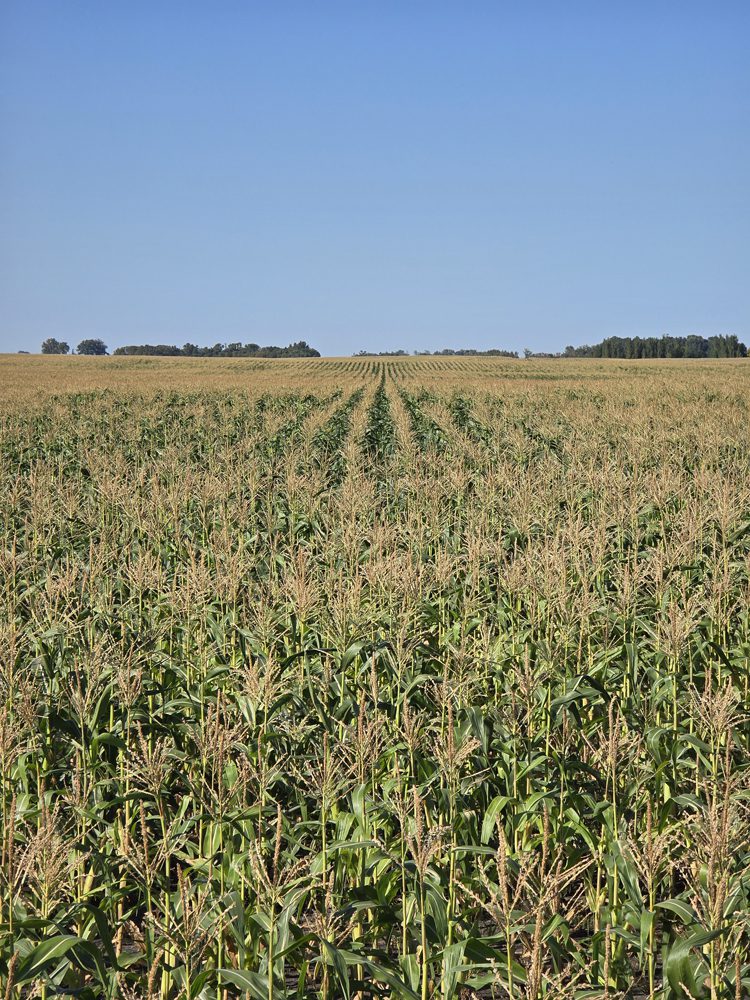 land3
