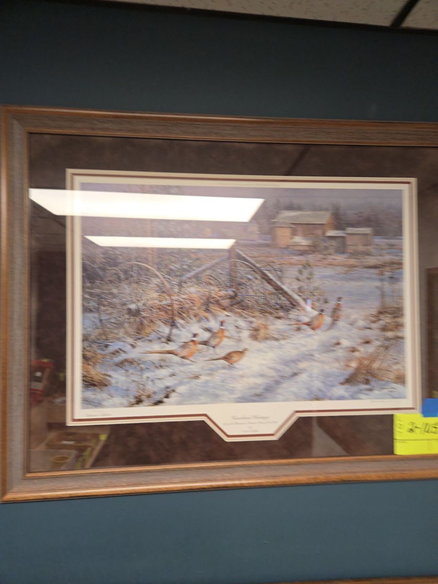 IMG_20260702_144716-7