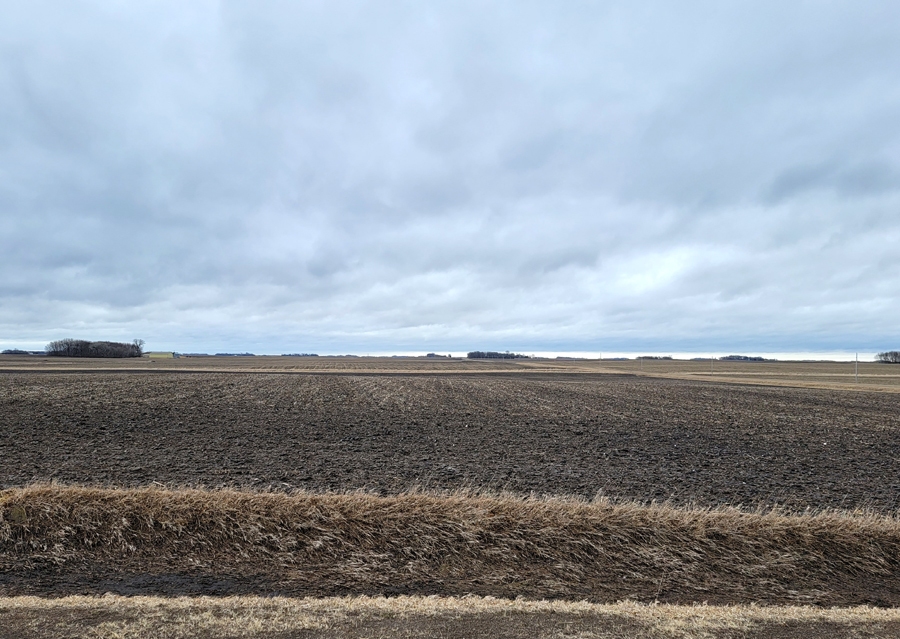 field1