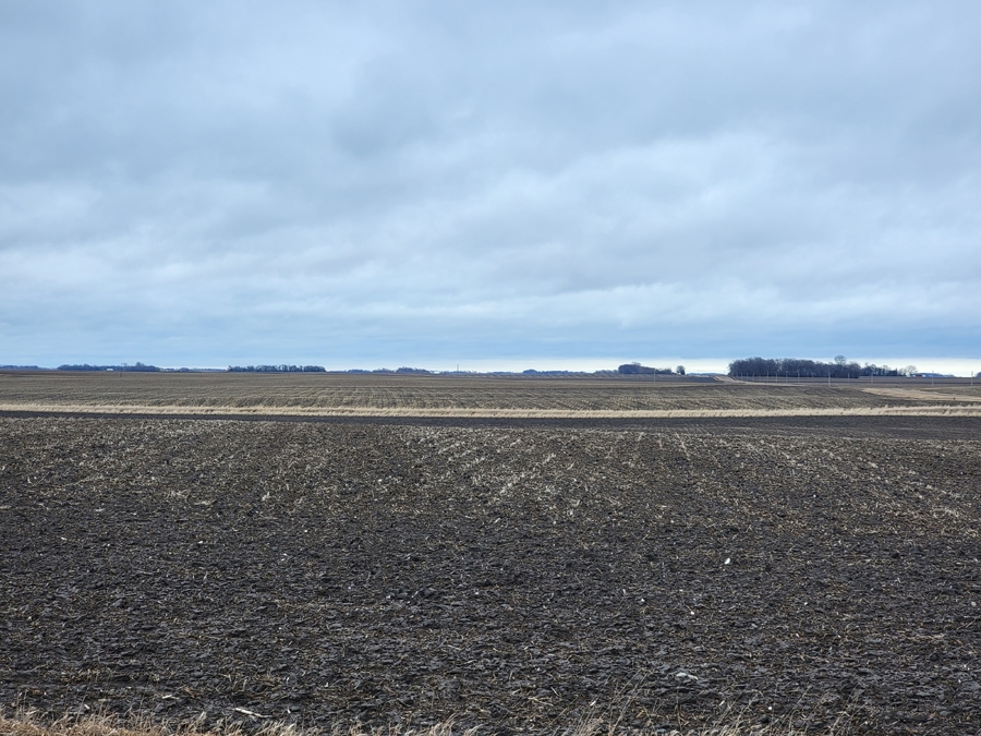 field2