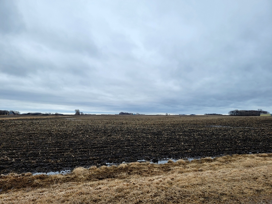 field4