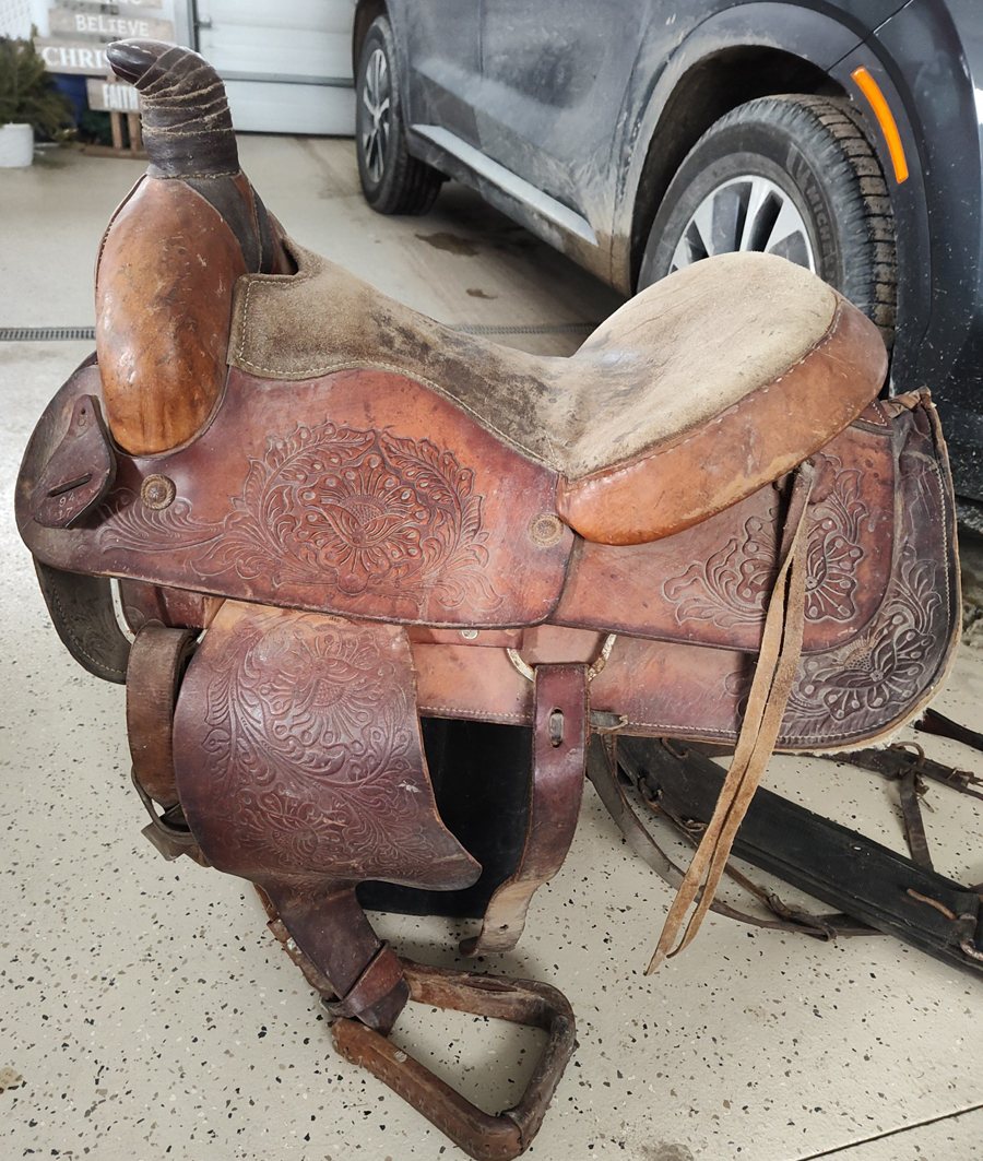 saddle2