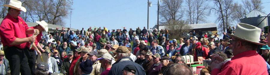 main-crowd-1