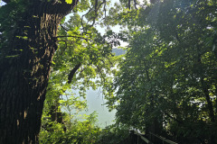 20260904_085401