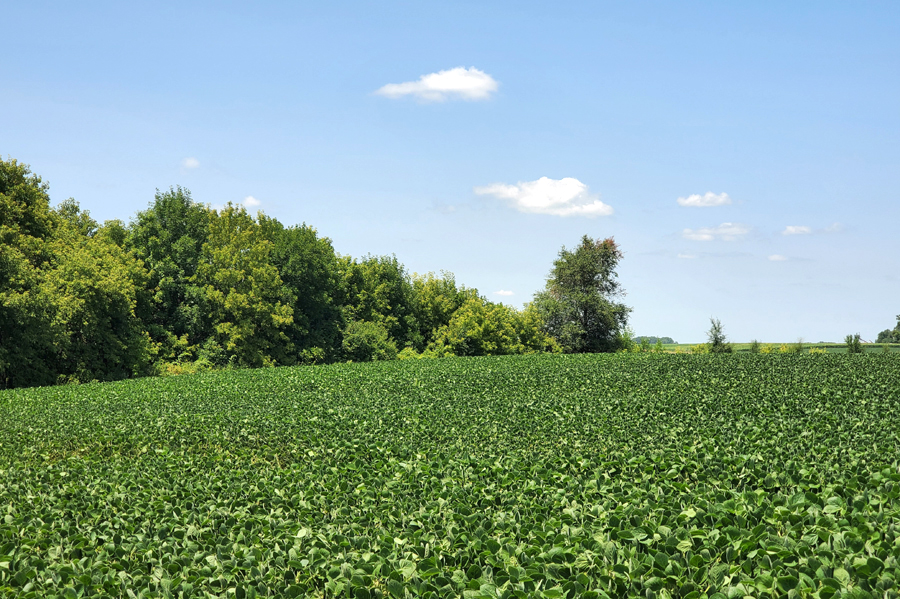 180 ac of Brown Co Farm Land Mages Land Company & Auction Service LLC